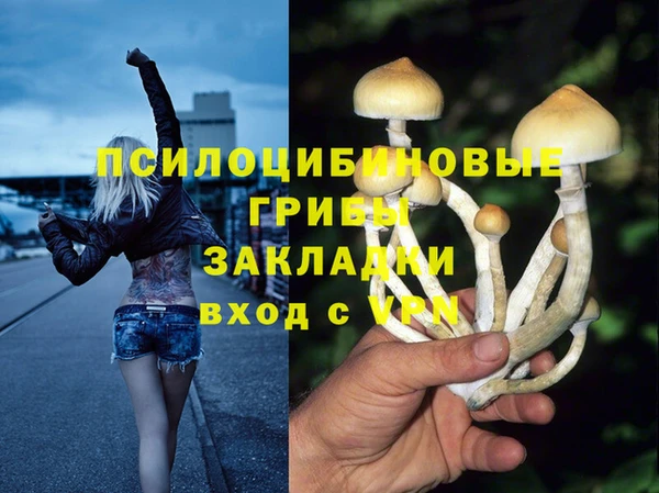 тгк Бородино