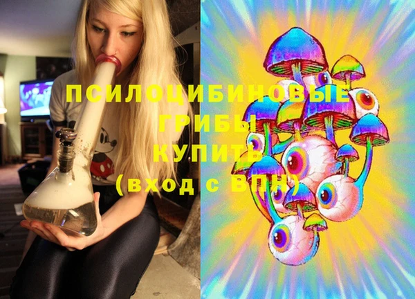 тгк Бородино