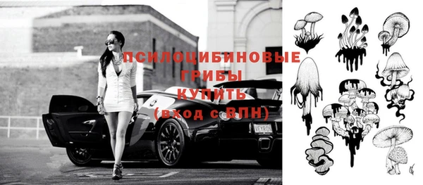 тгк Бородино